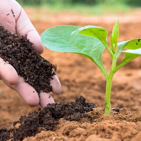 Organic Vermicompost 400g – Natural Plant Growth Booster & Soil Enricher