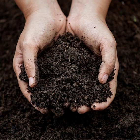Organic Vermicompost 400g – Natural Plant Growth Booster & Soil Enricher