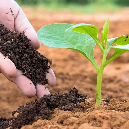 Organic Vermicompost 400g – Natural Plant Growth Booster & Soil Enricher