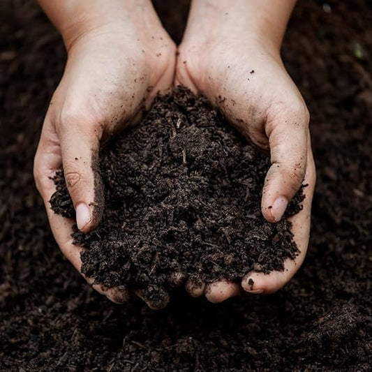 Organic Vermicompost 400g – Natural Plant Growth Booster & Soil Enricher