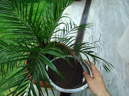 Organic Vermicompost 400g – Natural Plant Growth Booster & Soil Enricher